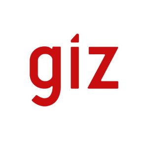 giz.jpeg